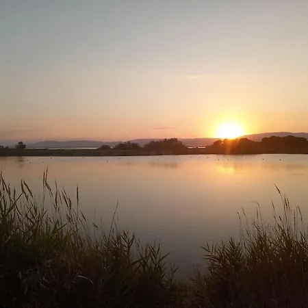 Jolie Maisonnette Dans Avec Piscine, Clim, Lave-linge, Lave-vaisselle Et Wifi *